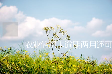 农业信用卡逾期两月还可以用吗 农业信用卡逾期两月还可以用吗