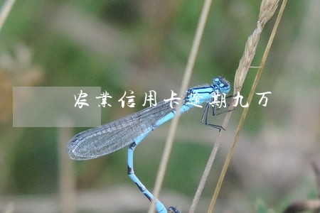 农业信用卡逾期九万 农业信用卡逾期九万