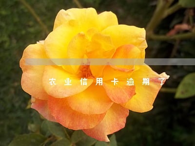 农业信用卡逾期了
