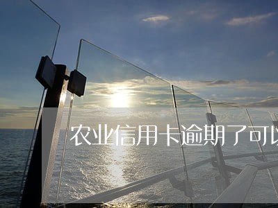 农业信用卡逾期了可以电话协商吗 农业信用卡逾期了可以电话协商吗