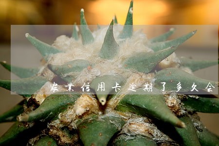 农业信用卡逾期了多久会被冻结 农业信用卡逾期了多久会被冻结
