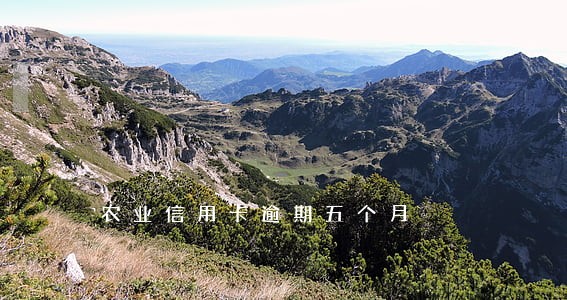 农业信用卡逾期五个月
