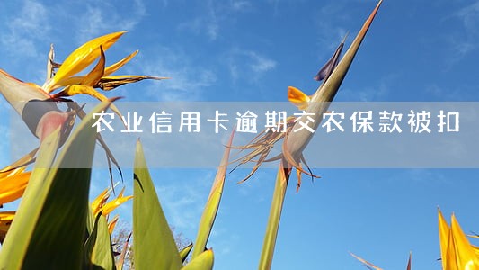 农业信用卡逾期交农保款被扣 农业信用卡逾期交农保款被扣