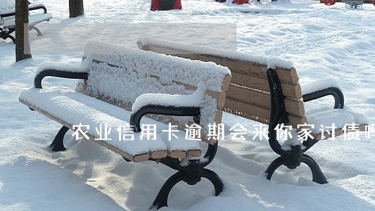 农业信用卡逾期会来你家讨债吗