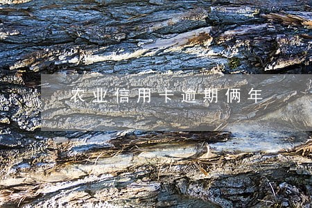 农业信用卡逾期俩年 农业信用卡逾期俩年