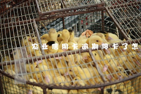 农业信用卡逾期停卡了怎么还款
