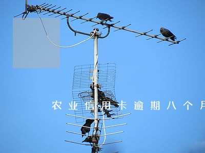 农业信用卡逾期八个月协商找谁 农业信用卡逾期八个月协商找谁