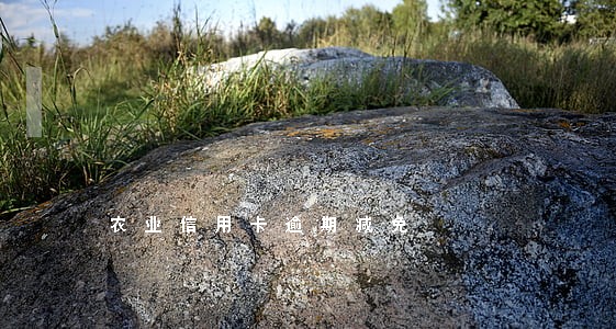 农业信用卡逾期减免