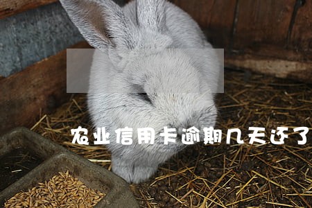 农业信用卡逾期几天还了 农业信用卡逾期几天还了