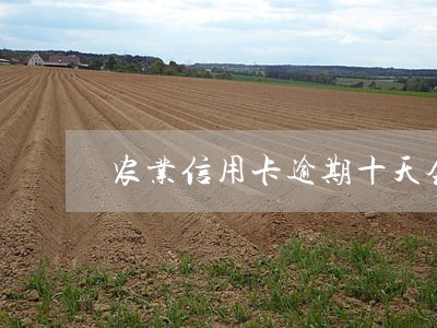农业信用卡逾期十天会怎么样