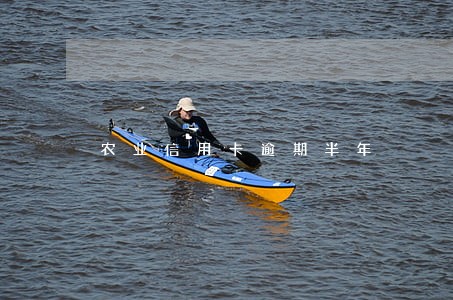 农业信用卡逾期半年 农业信用卡逾期半年