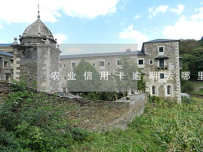 农业信用卡逾期去哪里协商