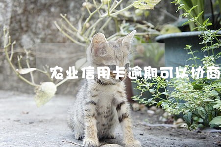 农业信用卡逾期可以协商还款吗 农业信用卡逾期可以协商还款吗