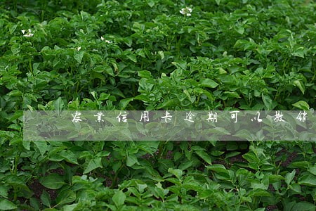 农业信用卡逾期可以撤销吗 农业信用卡逾期可以撤销吗