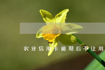 农业信用卡逾期后不让用了