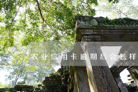 农业信用卡逾期后会怎样 农业信用卡逾期后会怎样