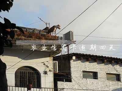 农业信用卡逾期四天 农业信用卡逾期四天