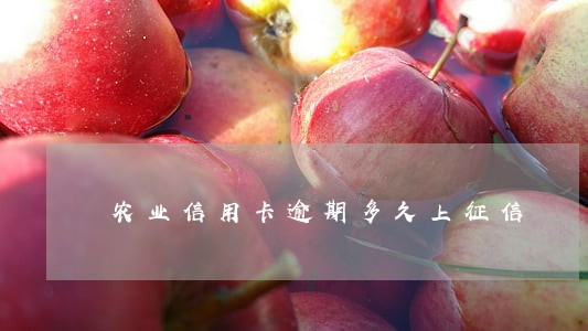 农业信用卡逾期多久上征信 农业信用卡逾期多久上征信