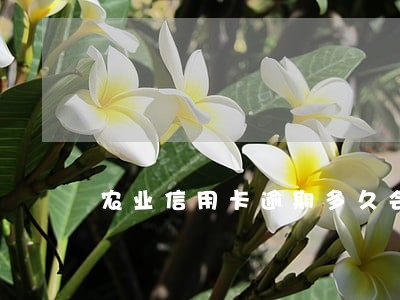 农业信用卡逾期多久会电话催收 农业信用卡逾期多久会电话催收