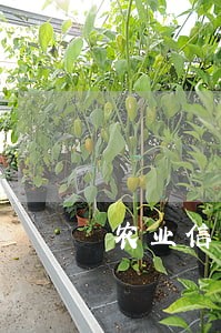 农业信用卡逾期多久冻结额度 农业信用卡逾期多久冻结额度