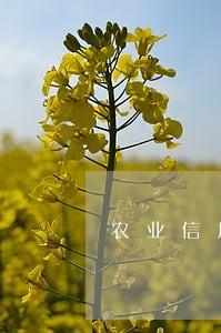 农业信用卡逾期多久打家里电话