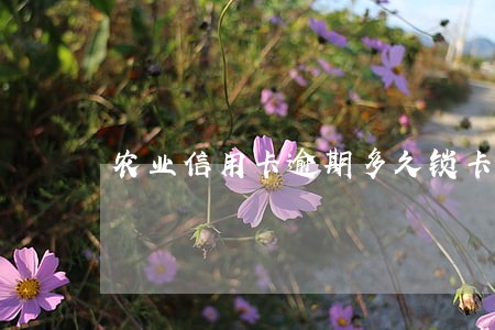农业信用卡逾期多久锁卡 农业信用卡逾期多久锁卡