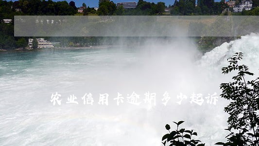 农业信用卡逾期多少起诉 农业信用卡逾期多少起诉