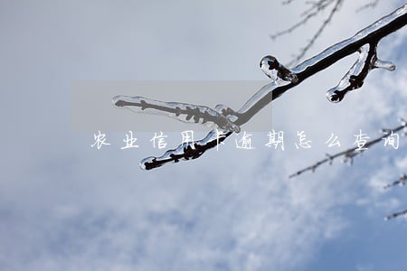 农业信用卡逾期怎么查询 农业信用卡逾期怎么查询