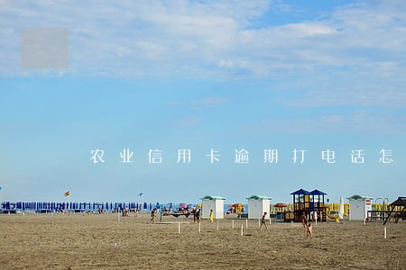 农业信用卡逾期打电话怎么说 农业信用卡逾期打电话怎么说