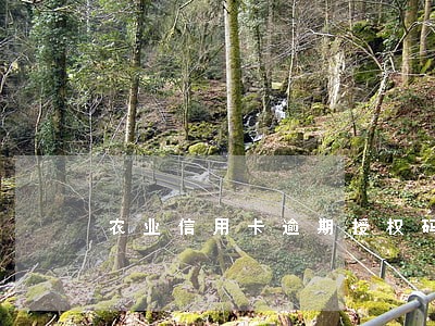 农业信用卡逾期授权码锁定 农业信用卡逾期授权码锁定