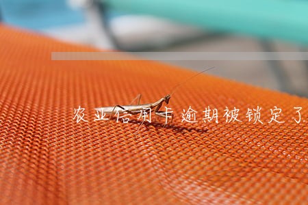 农业信用卡逾期被锁定了怎么办