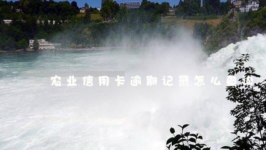 农业信用卡逾期记录怎么查询 农业信用卡逾期记录怎么查询