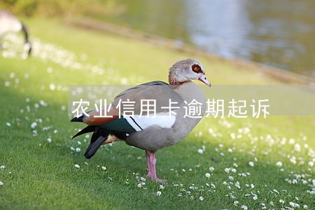 农业信用卡逾期起诉 农业信用卡逾期起诉