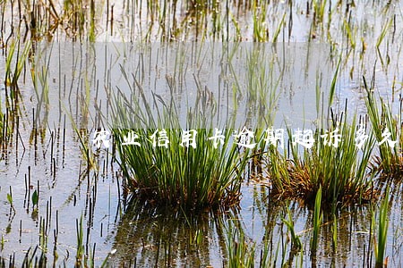 农业信用卡逾期起诉多久开庭 农业信用卡逾期起诉多久开庭