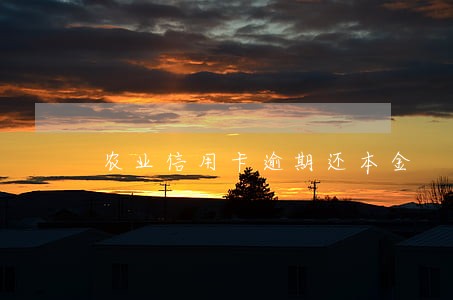 农业信用卡逾期还本金 农业信用卡逾期还本金