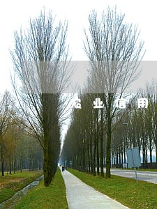 农业信用卡逾期还款违约金 农业信用卡逾期还款违约金