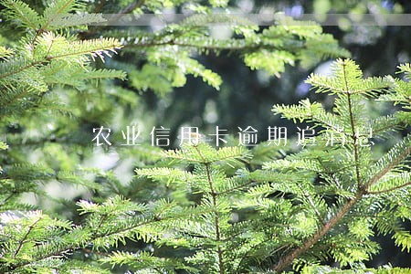 农业信用卡逾期追消息 农业信用卡逾期追消息