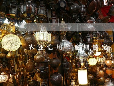 农业信用卡逾期锁定