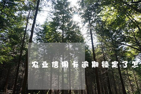 农业信用卡逾期锁定了怎么办 农业信用卡逾期锁定了怎么办