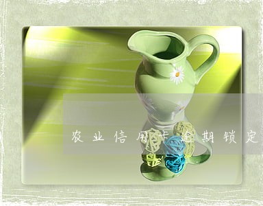 农业信用卡逾期锁定还错了