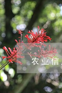 农业信用币逾期一次 农业信用币逾期一次
