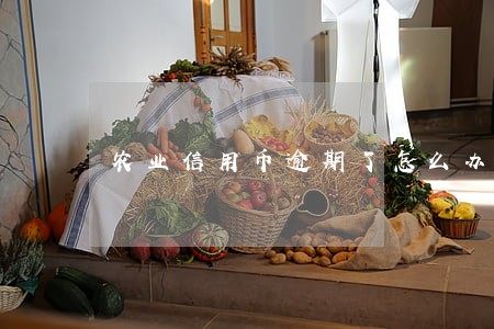 农业信用币逾期了怎么办 农业信用币逾期了怎么办