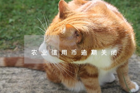 农业信用币逾期关闭 农业信用币逾期关闭