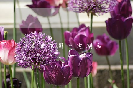 农业信用币逾期后 农业信用币逾期后