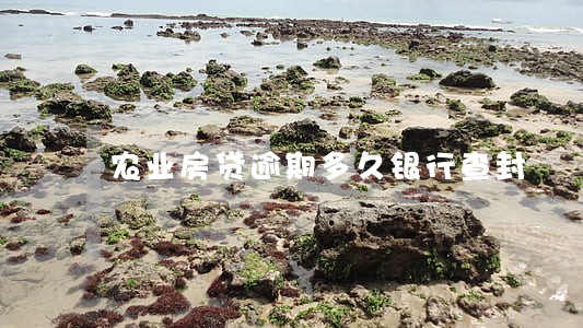 农业房贷逾期多久银行查封 农业房贷逾期多久银行查封