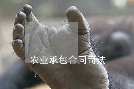 农业承包合同司法 农业承包合同司法
