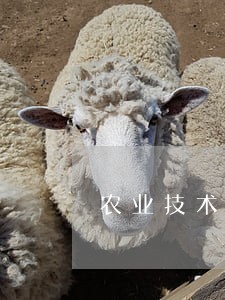 农业技术推广站法规 农业技术推广站法规