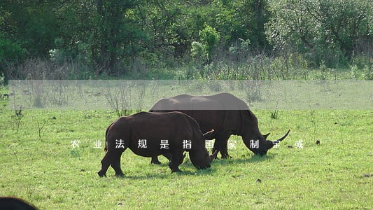 农业法规是指国家制定或