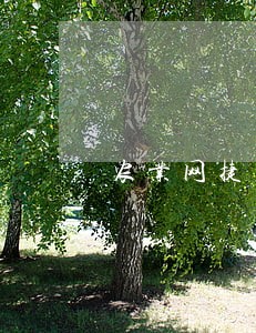农业网捷贷逾期可以协商吗 农业网捷贷逾期可以协商吗