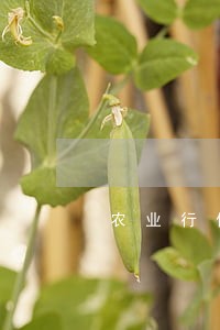 农业行信用卡逾期 农业行信用卡逾期
